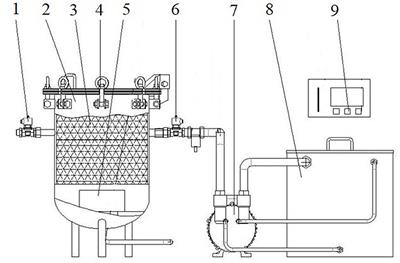 Enhanced mass transfer of pulsed vacuum pressure pickling and changes in quality of sour bamboo shoots